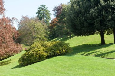 Kırmızı ve yeşil ağaçları ile Botanik Bahçesi