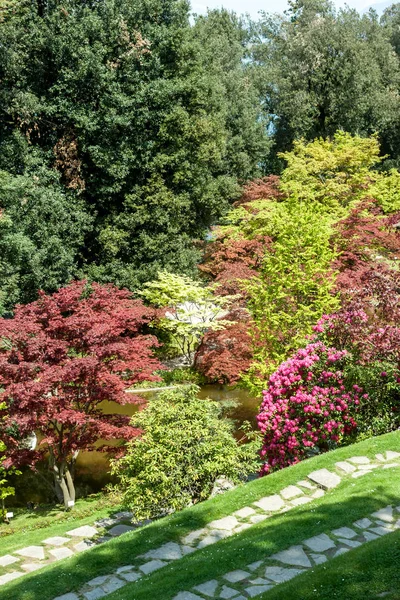 Jardin botanique avec des arbres verts et rouges Images De Stock Libres De Droits