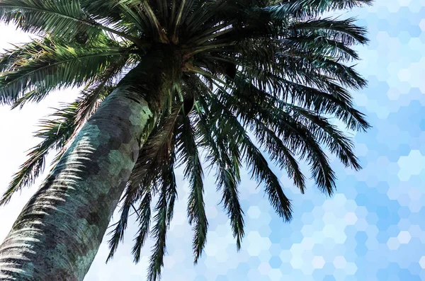 Palmiye resmi üzerinde altıgen soyut poligonal doku — Stok fotoğraf