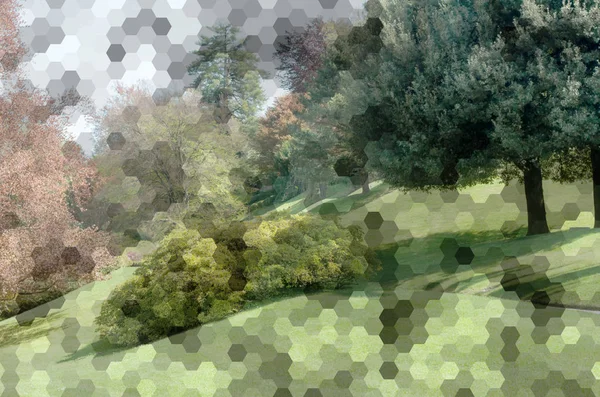 Hexágono abstracto textura poligonal sobre la imagen del parque —  Fotos de Stock