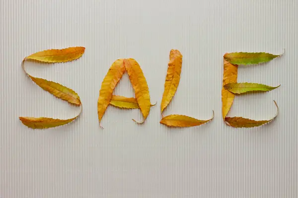 Podzimní prodej slovo ze žlutých listů — Stock fotografie