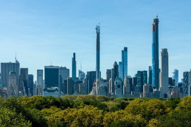 Central Park ağaçlarının üzerinde New York gökdelenleri