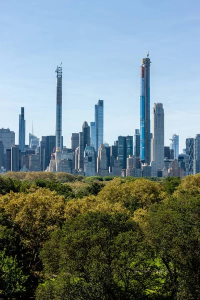 Grattacieli di New York sugli alberi di Central Park — Foto Stock