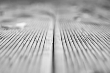 Teras Sibirya tarla kuşları siyah-beyaz