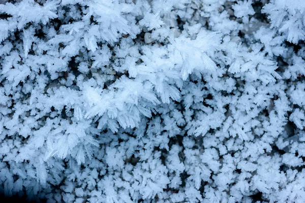 Donmuş su kristalleri ve kar taneleri desen makro — Stok fotoğraf