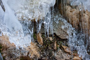 Nehir taşında tuhaf beyaz buz sarkıtları