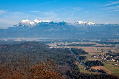 Alp Dağları Vadi Ormanı Yolu üzerinde