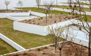 İlkbahar şehir parkı ağaçları ve çağlayan çimenler