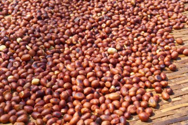 Sepette kızartılmış fıstık.