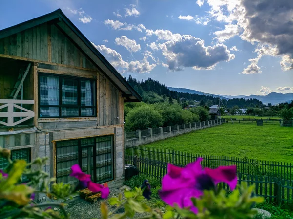 Nature Carpathian Mountains — Stock Photo, Image