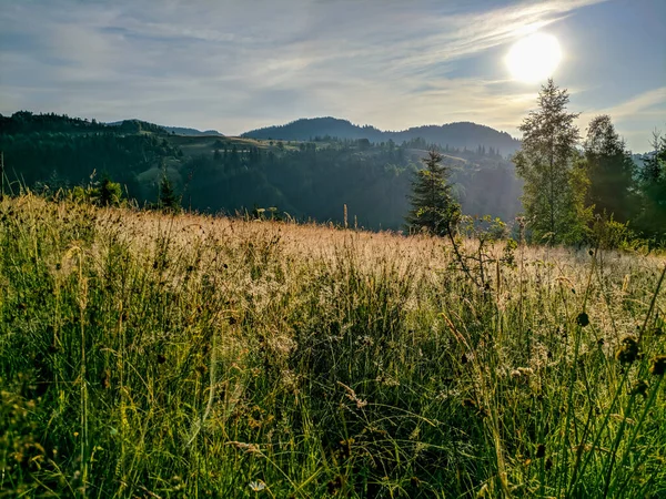 Natur Der Karpaten — Stockfoto