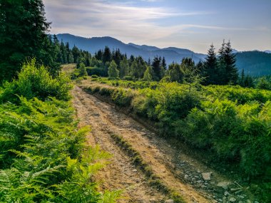 İki bin metre yükseklikte Karpatlar 'da boya.
