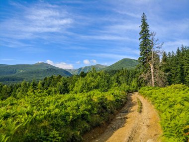 İki bin metre yükseklikte Karpatlar 'da boya.