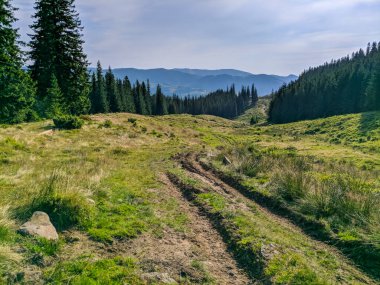 İki bin metre yükseklikte Karpatlar 'da boya.