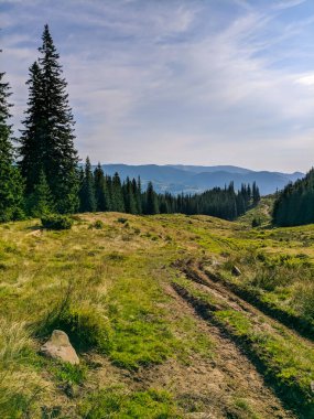 İki bin metre yükseklikte Karpatlar 'da boya.