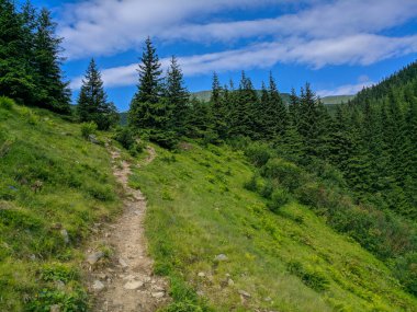 İki bin metre yükseklikte Karpatlar 'da boya.
