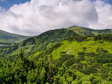 İki bin metre yükseklikte Karpatlar 'da boya.