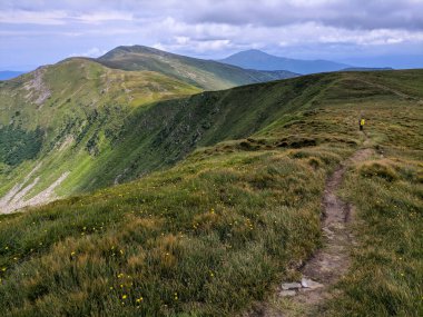 İki bin metre yükseklikte Karpatlar 'da boya.