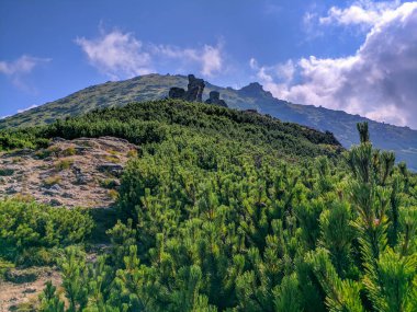 İki bin metre yükseklikte Karpatlar 'da boya.