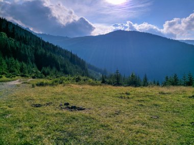 İki bin metre yükseklikte Karpatlar 'da boya.