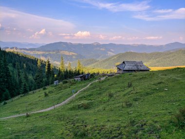İki bin metre yükseklikte Karpatlar 'da boya.