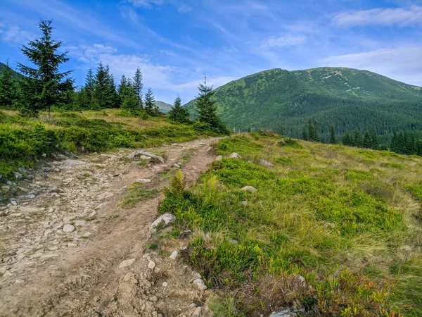 Pfad Den Karpaten Zweitausend Metern Höhe — Stockfoto