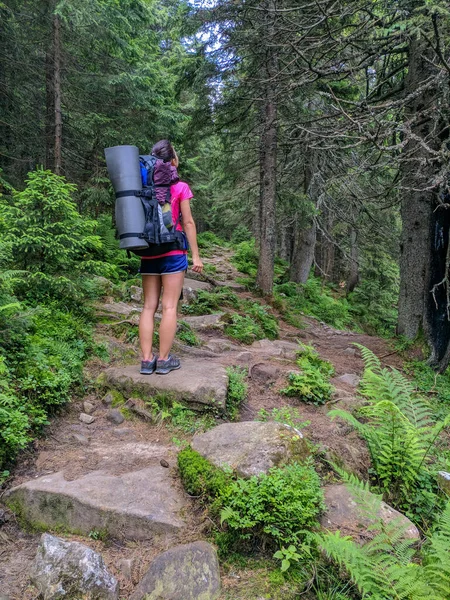 Pfad Den Karpaten Zweitausend Metern Höhe — Stockfoto