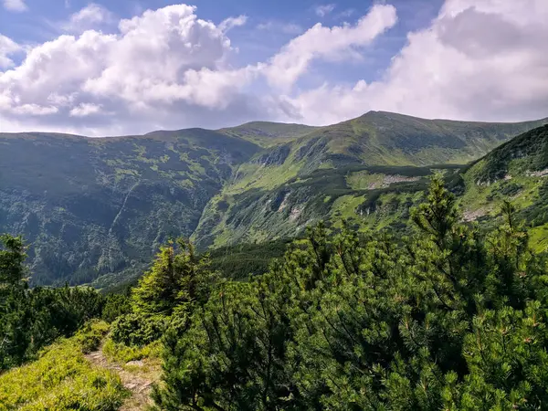 Pathin Nos Cárpatos Uma Altitude Dois Mil Metros — Fotografia de Stock