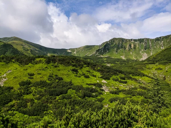 喀尔巴阡山脉海拔2000米的小径 — 图库照片