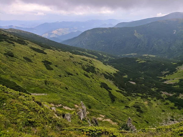 Pathin Dans Les Carpates Une Altitude Deux Mille Mètres — Photo