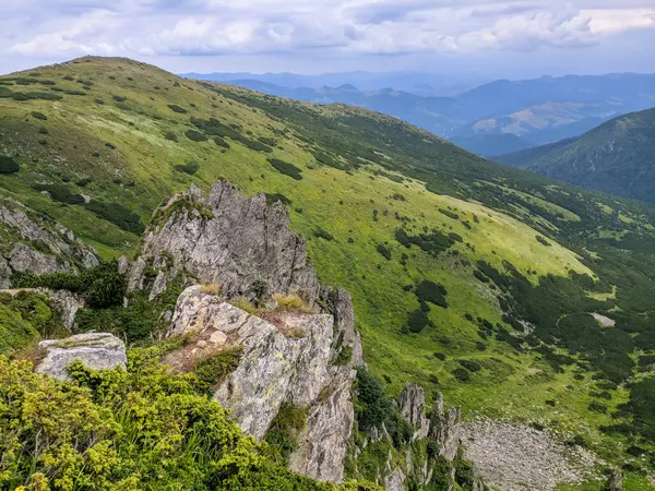 Pfad Den Karpaten Zweitausend Metern Höhe — Stockfoto