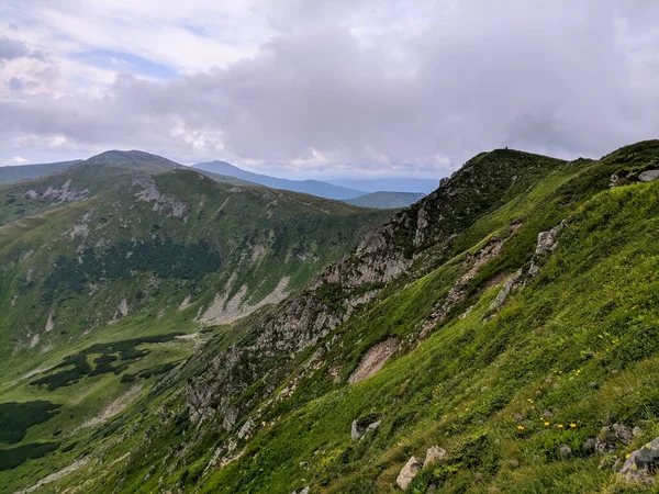 Pathin Nos Cárpatos Uma Altitude Dois Mil Metros — Fotografia de Stock