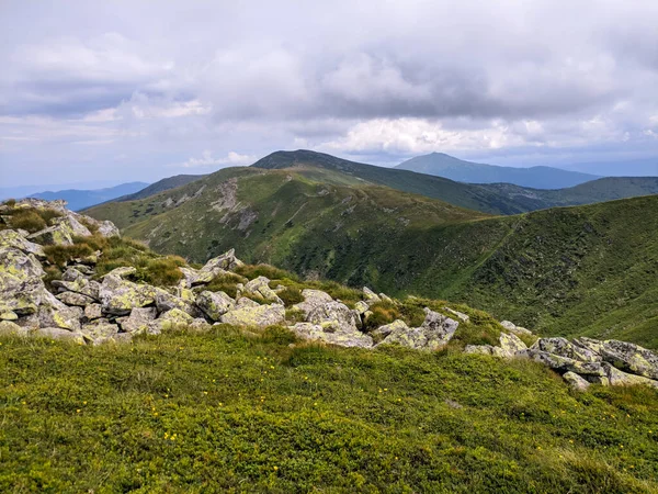 Pathin Dans Les Carpates Une Altitude Deux Mille Mètres — Photo