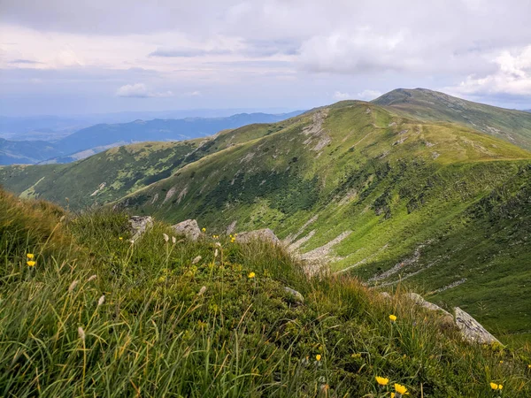 Pfad Den Karpaten Zweitausend Metern Höhe — Stockfoto