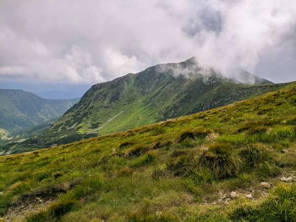 Pathin Nos Cárpatos Uma Altitude Dois Mil Metros — Fotografia de Stock