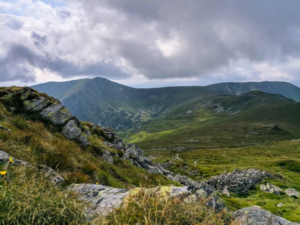 Pathin Nos Cárpatos Uma Altitude Dois Mil Metros — Fotografia de Stock