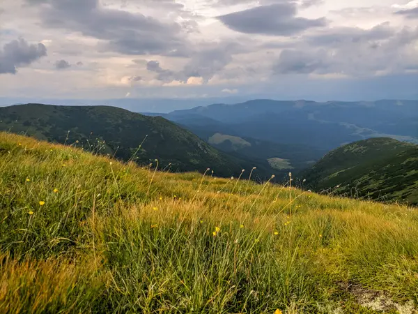 Pfad Den Karpaten Zweitausend Metern Höhe — Stockfoto