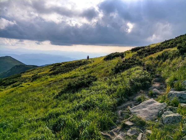 Pathin Nos Cárpatos Uma Altitude Dois Mil Metros — Fotografia de Stock