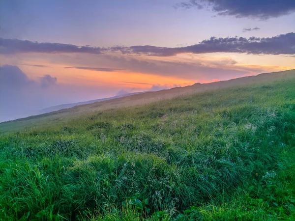 Pfad Den Karpaten Zweitausend Metern Höhe — Stockfoto