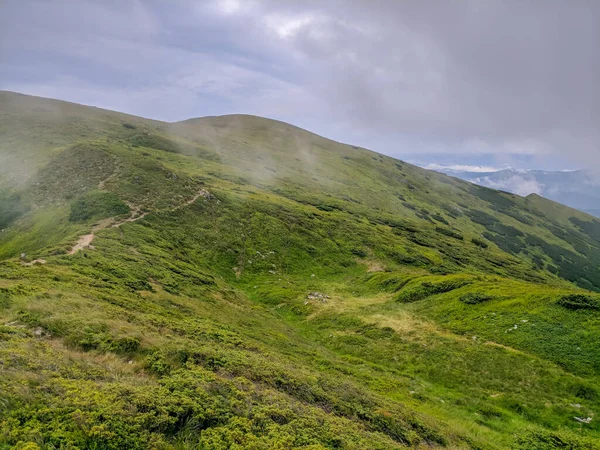 Pathin Dans Les Carpates Une Altitude Deux Mille Mètres — Photo