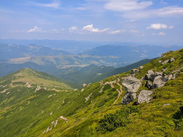 Pfad Den Karpaten Zweitausend Metern Höhe — Stockfoto