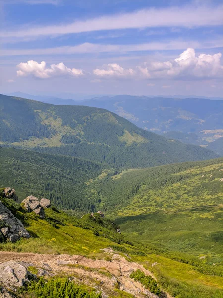 Pfad Den Karpaten Zweitausend Metern Höhe — Stockfoto