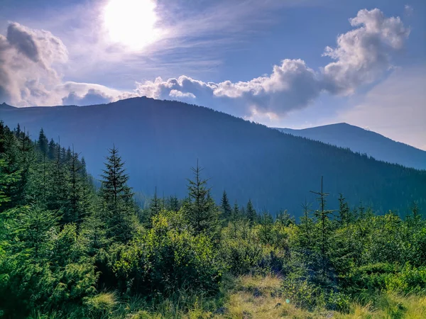 Pfad Den Karpaten Zweitausend Metern Höhe — Stockfoto