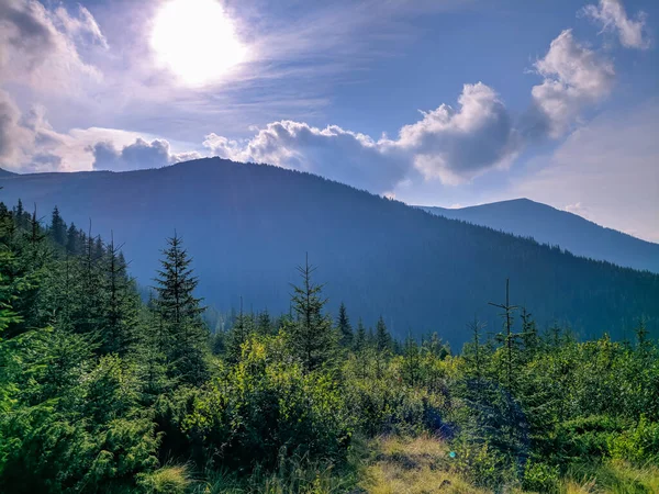 Pathin Carpathians Altitude Two Thousand Meters — Stock Photo, Image