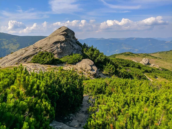 Pfad Den Karpaten Zweitausend Metern Höhe — Stockfoto