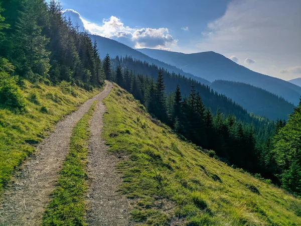 Pfad Den Karpaten Zweitausend Metern Höhe — Stockfoto