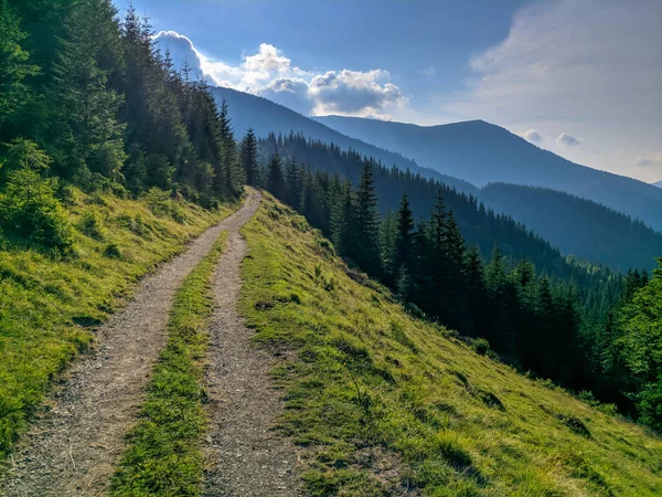 Pfad Den Karpaten Zweitausend Metern Höhe — Stockfoto