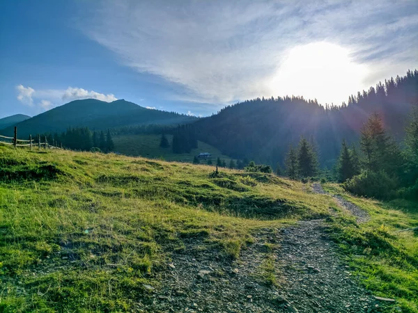 İki bin metre yükseklikte Karpatlar 'da boya.