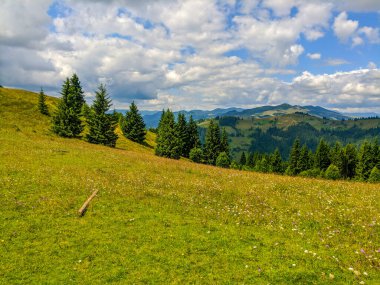Seyahat ve Karpat dağlarında yaşam. Karpatya köyleri, ormanlar, nehirler, gün doğumları ve günbatımları, evcil hayvanlar, yürüyüş ve dağlarda macera ve elbette inanılmaz manzaralar..