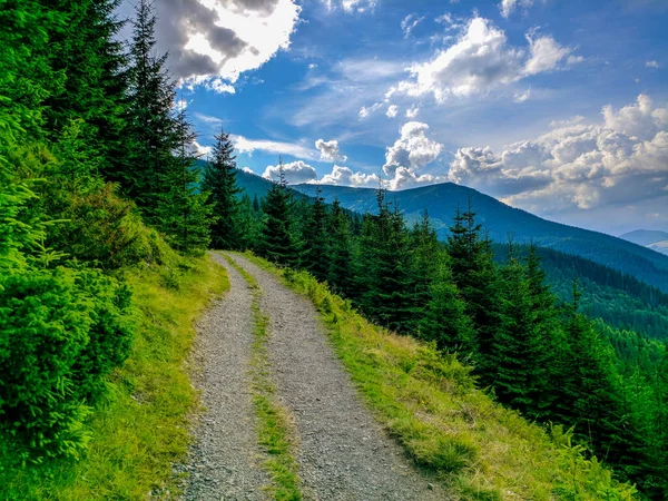 Reisen Und Leben Den Karpaten Karpatendörfer Wälder Flüsse Sonnenauf Und — Stockfoto